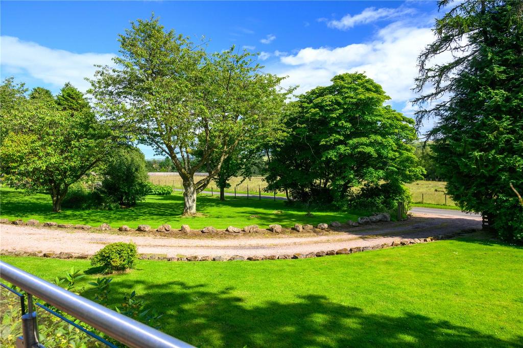 Driveway/Garden