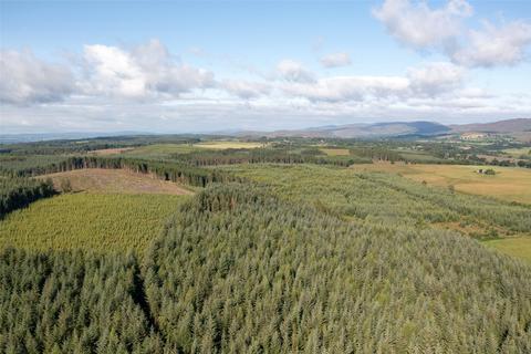 Land for sale, Drumbuich & Barselton Woods, Methven, Perthshire, PH1