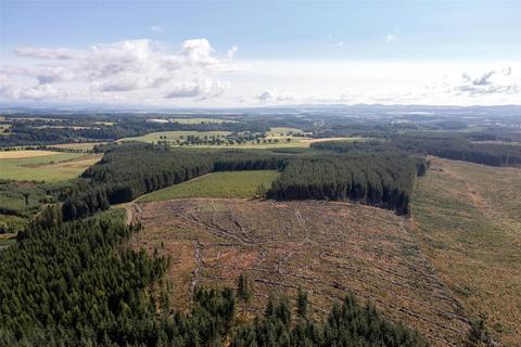 Land for sale, Drumbuich & Barselton Woods, Methven, Perthshire, PH1