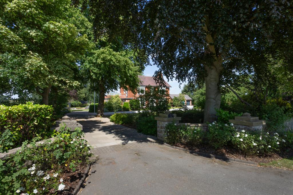 Driveway