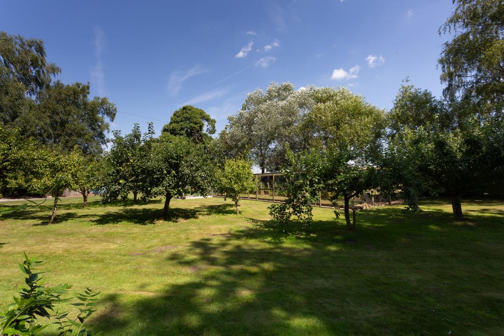 Orchard