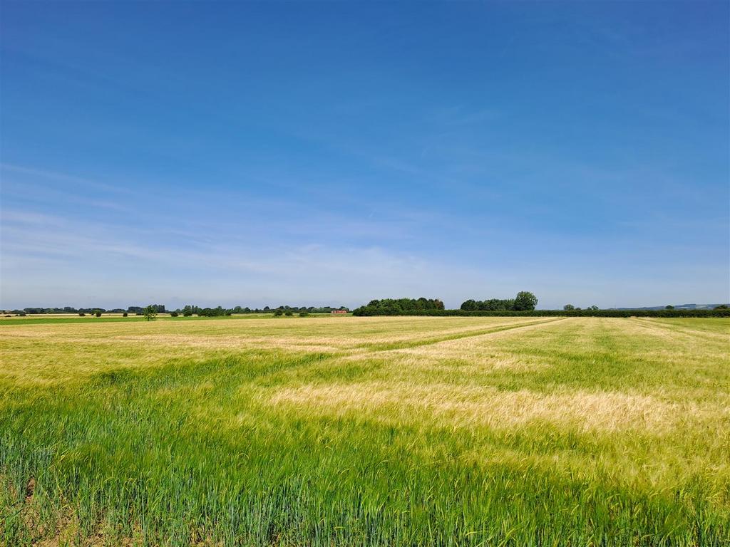 Lot 4.jpg