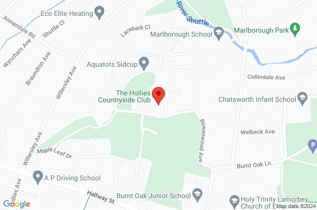 Google Maps Image