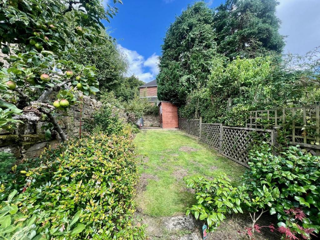 Bakc garden 2.jpg