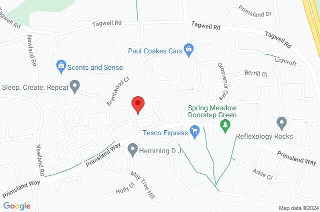 Google Maps Image