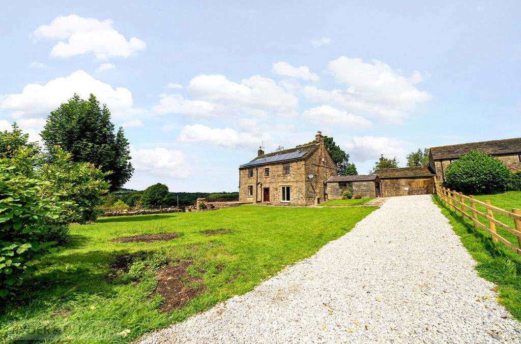 Garden and Driveway