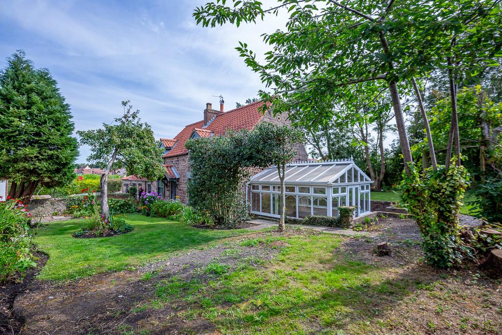 Back garden 1.3