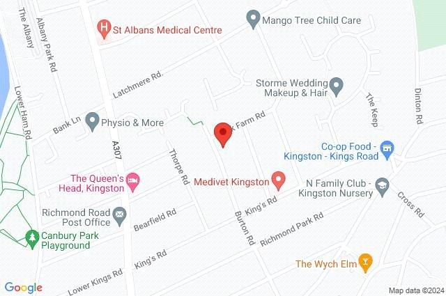 Google Maps Image