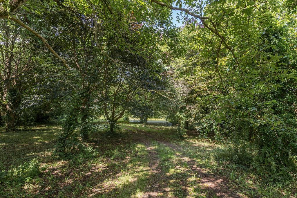 Brook House, Dittisham, Meadow