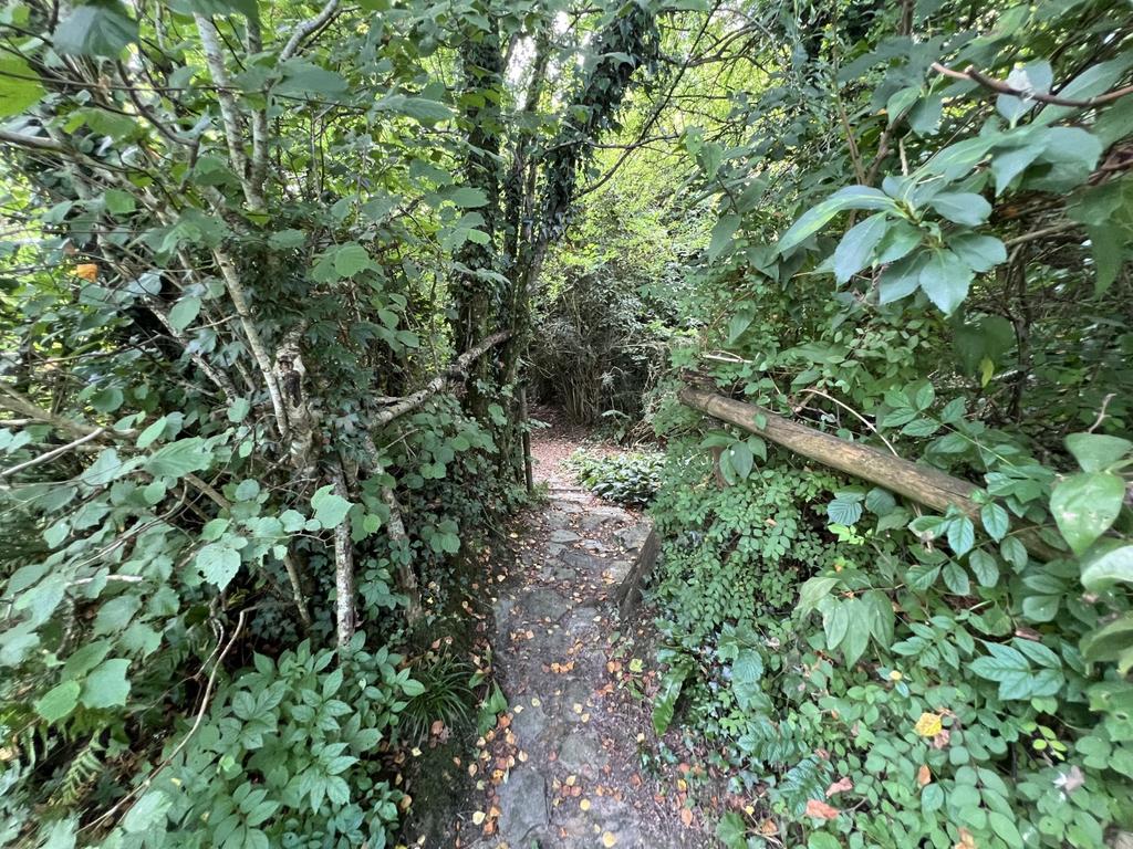 Woodland