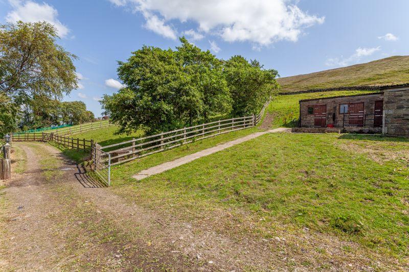 Stables &amp; Paddocks