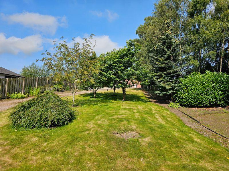 Front Garden Area