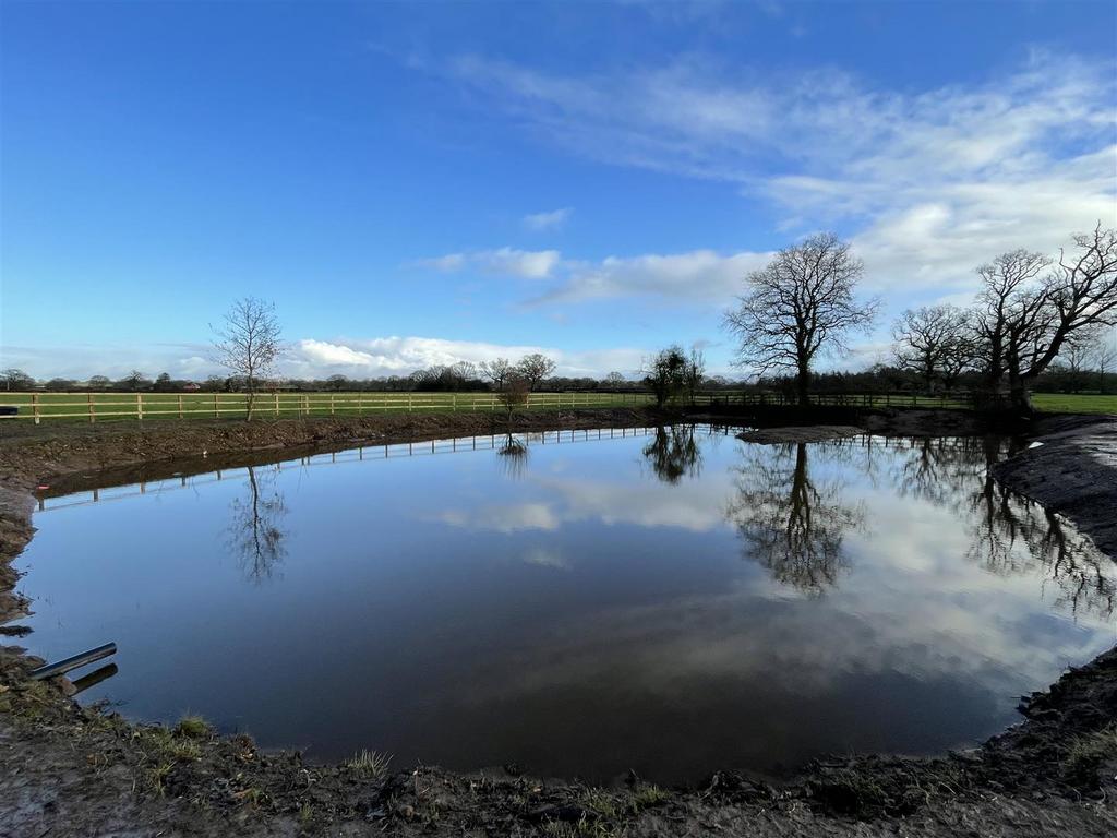 Pond
