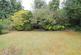 Garden b.jpg