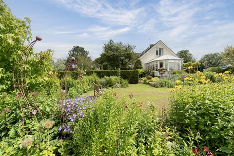undefined, Chardstock, Axminster