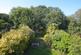 GARDEN.jpg