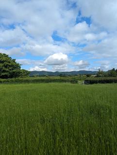 Farm land for sale, Malvern, Worcestershire WR13