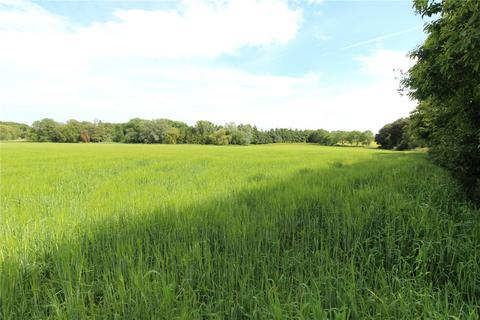 Land for sale, Land At Ludham, Norwich Road, Ludham, Great Yarmouth, NR29