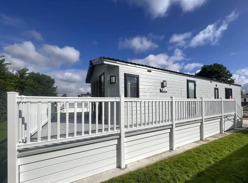 White Rose   Willerby Sheraton 98995