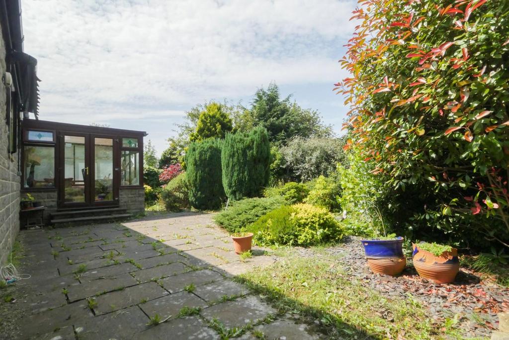 Back garden
