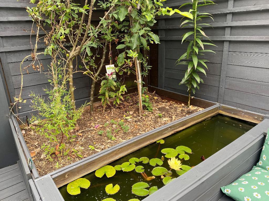 Pond