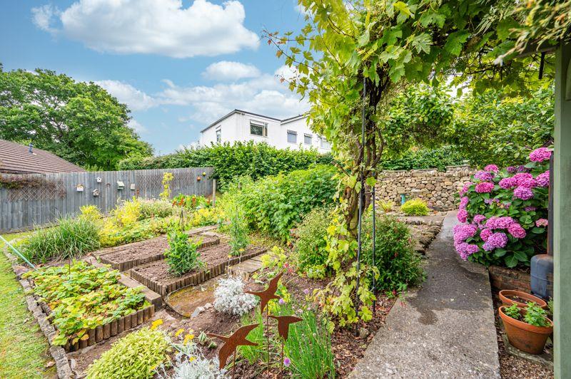 Vegetable Patch