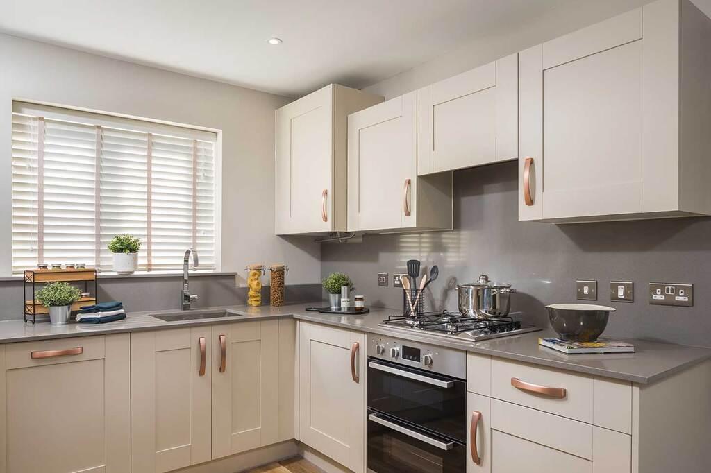 Typical Kitchen 1