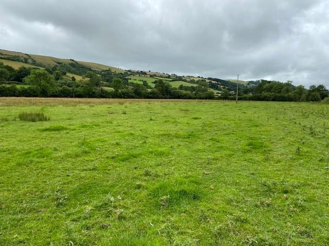 DJI 0437.jpg