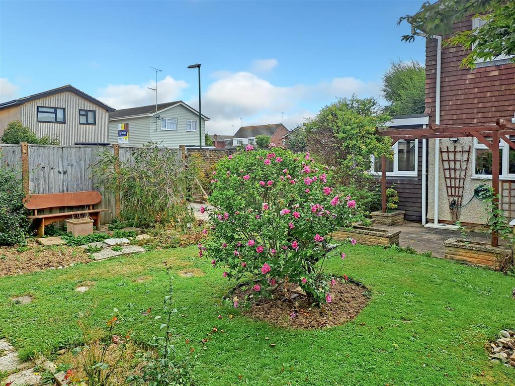 West Facing Rear Garden