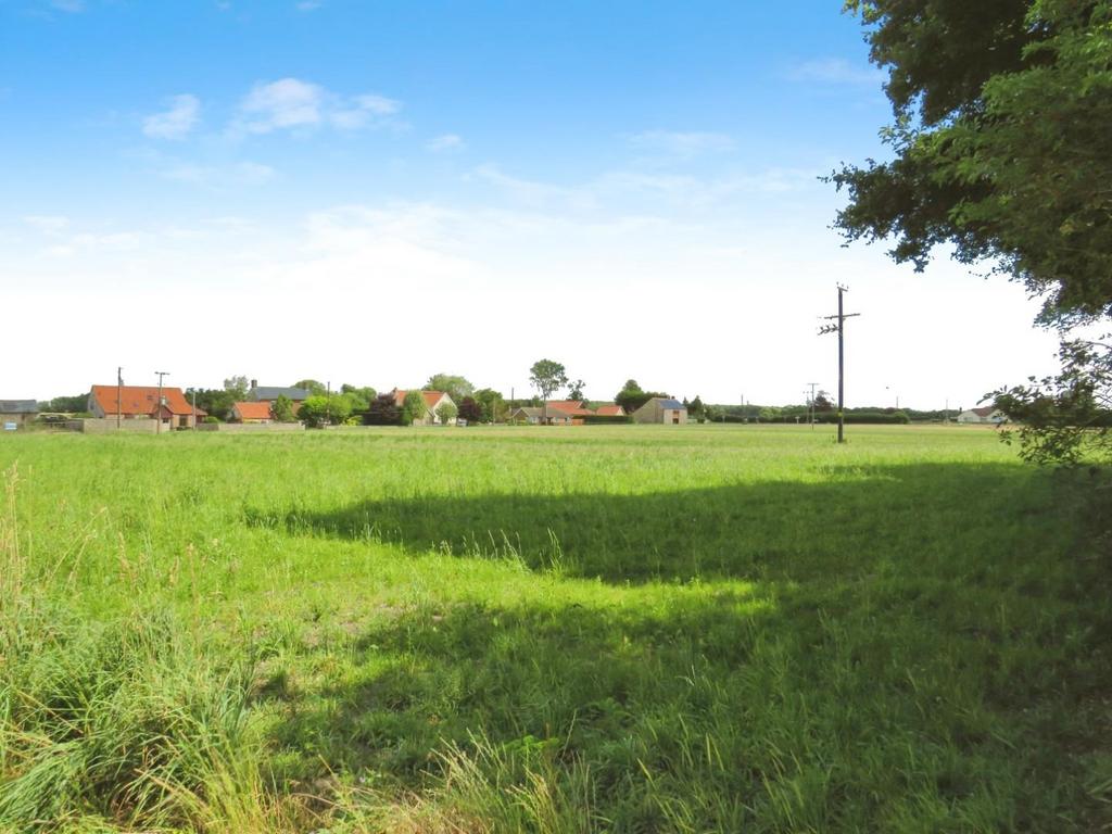 7ee205dd-IMG 1950.JPG