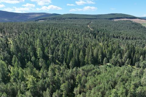 Woodland for sale, Gallybank Woodland, Strachan AB31