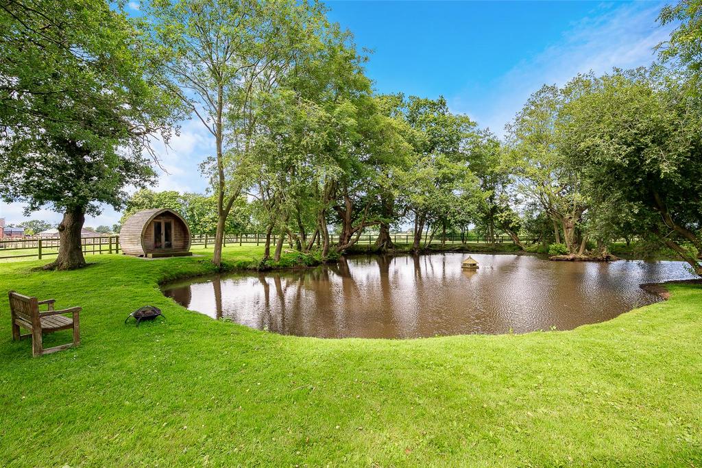 Pond 2