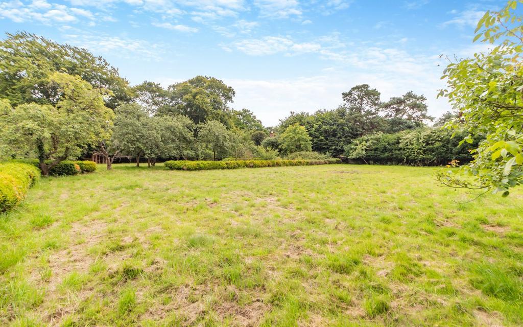 Grounds
