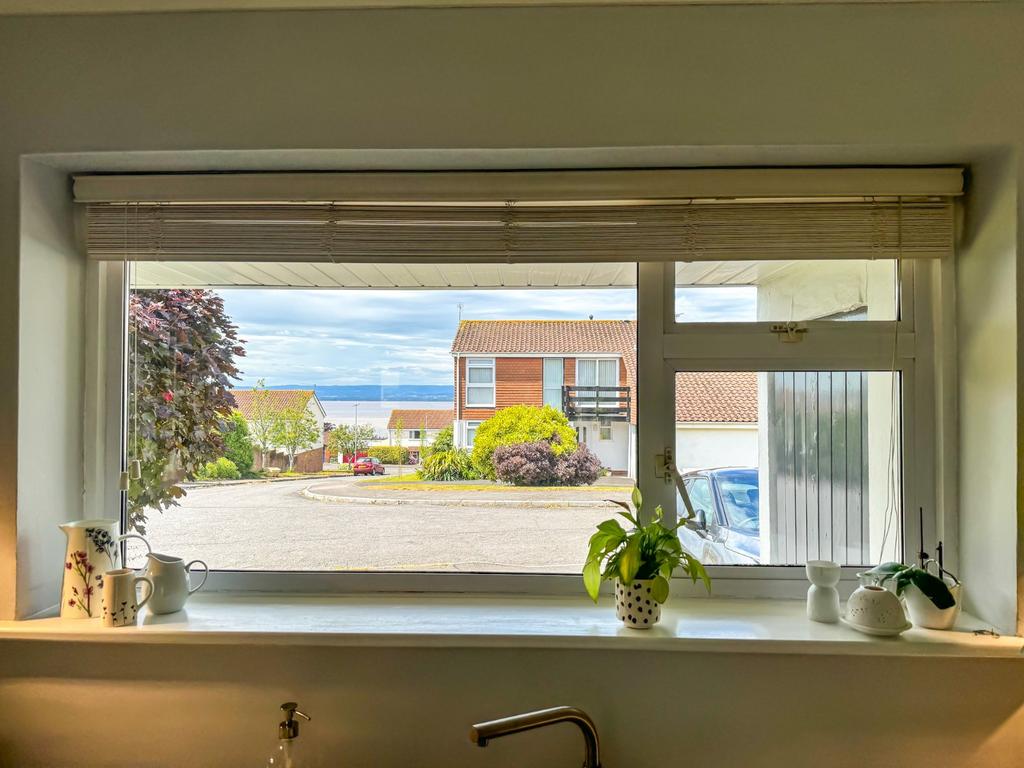 Window
