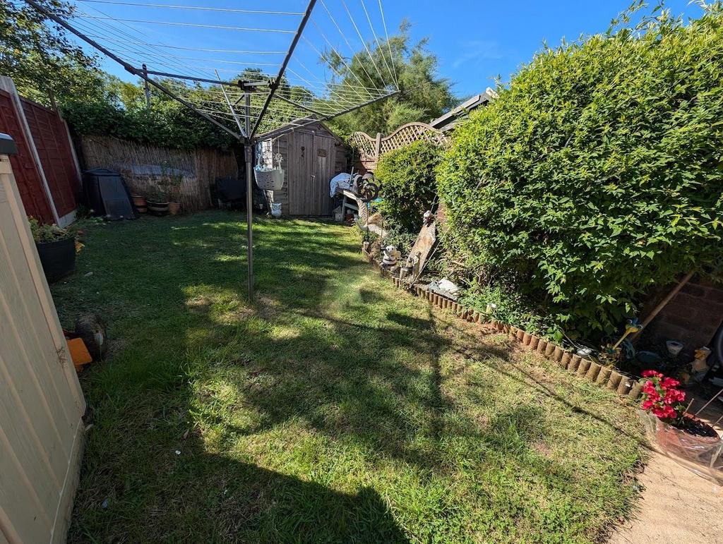 Lawn.jpg