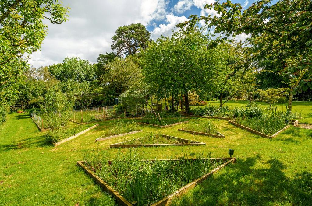 Vegetable Plot