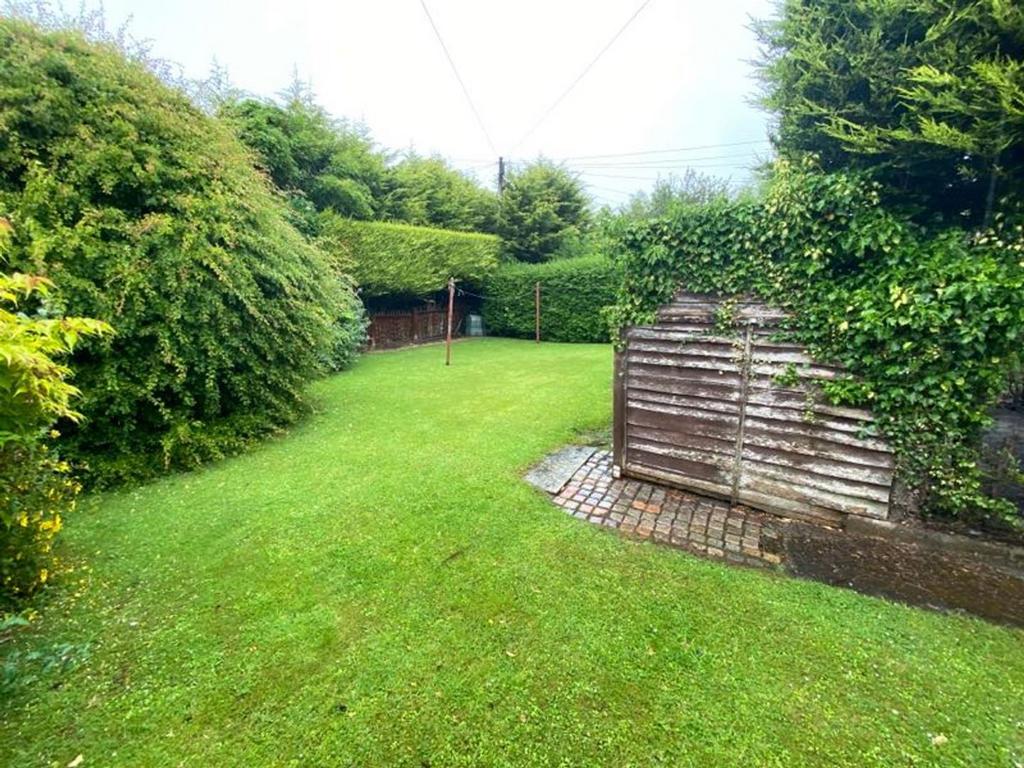 Garden.jpg