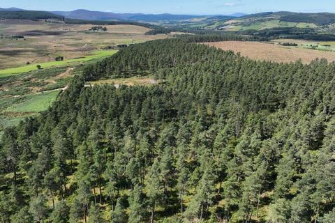 Woodland for sale, Knock Wood, Strachan AB31