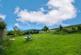 Additional image 21 of Westside of Edingarioch, Premnay. AB52 6PL