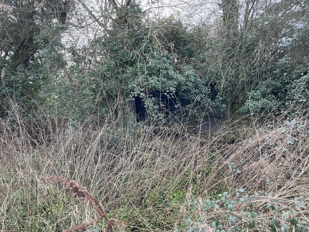 Steel cattle shed top of field.JPEG