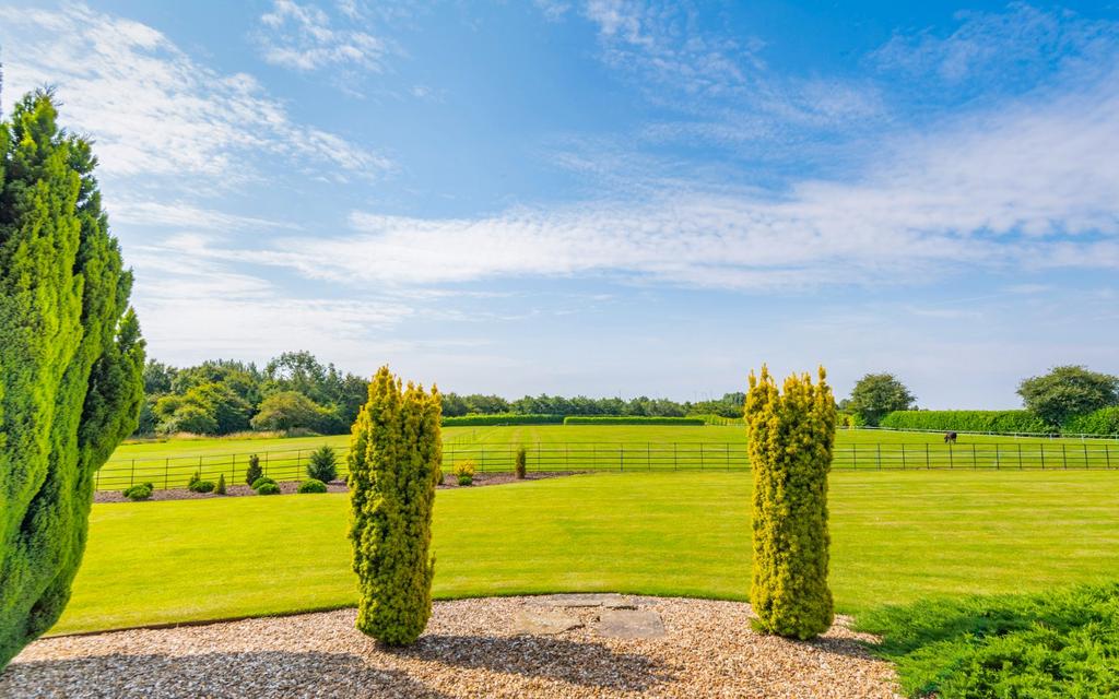Grounds
