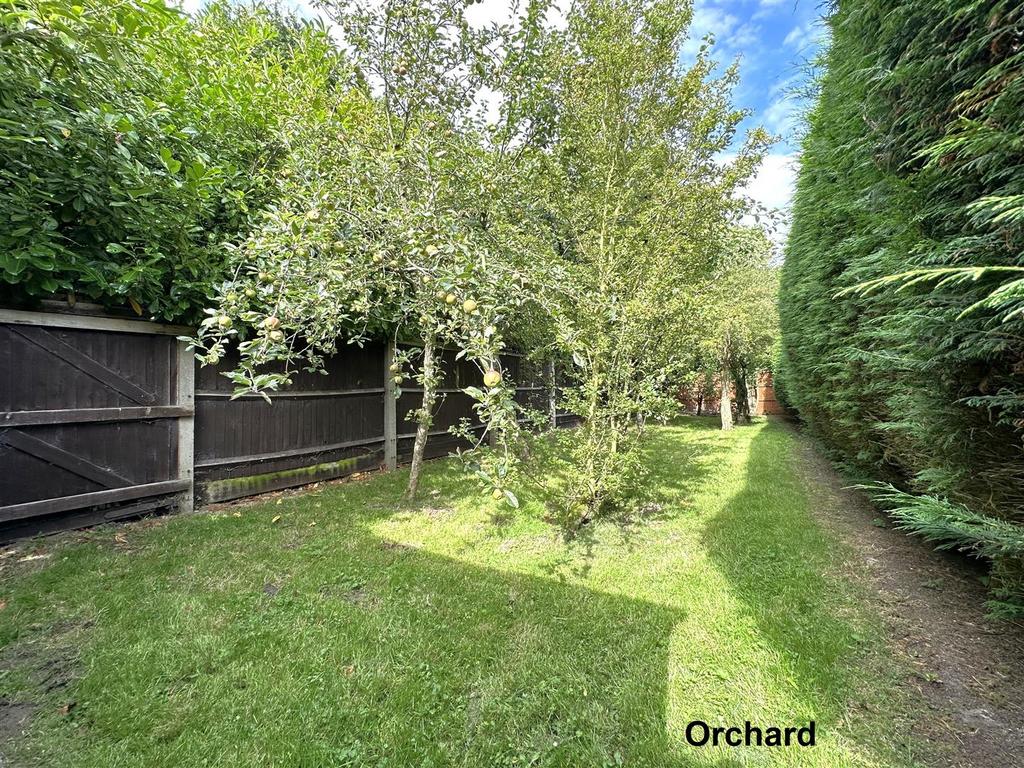 Orchard 667