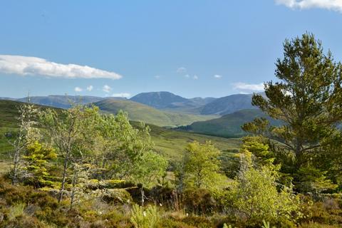 Land for sale, Elphin, Lairg, Sutherland