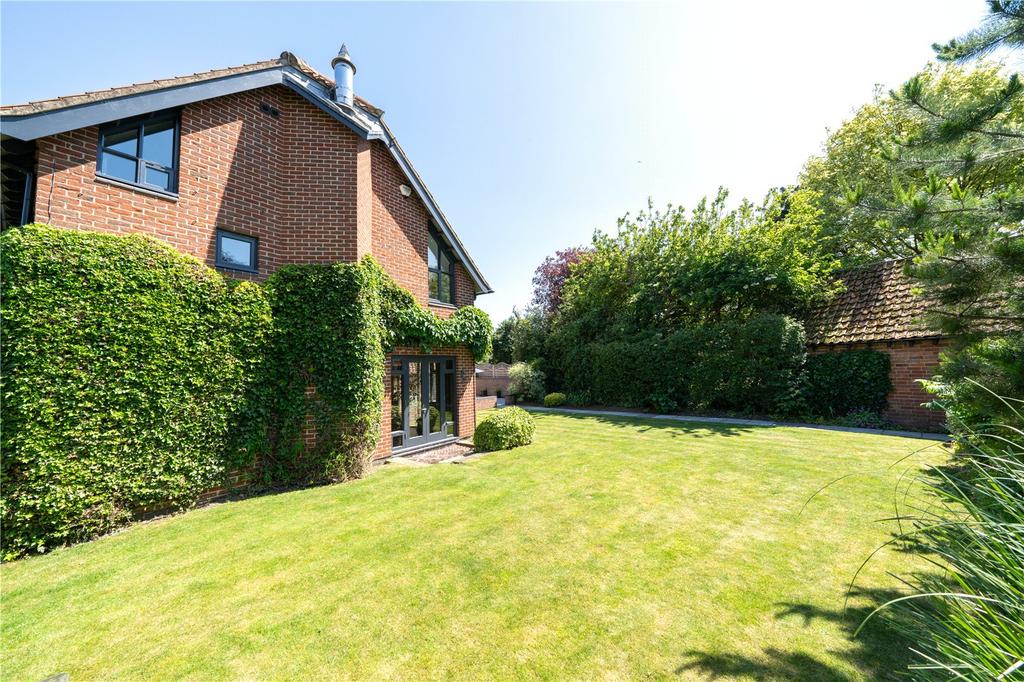 Rear Gardens