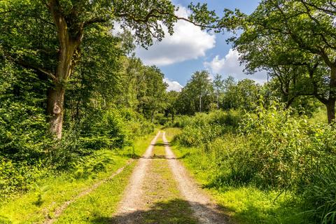 undefined, Ewhurst, Surrey, GU6