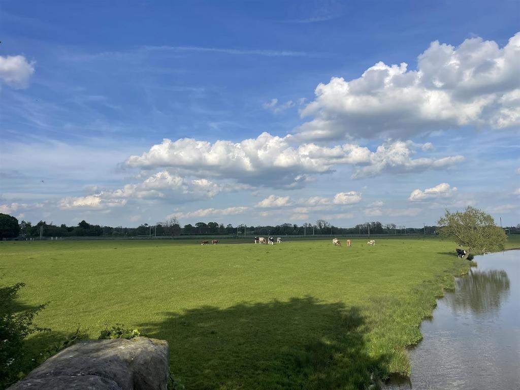 Img 3442.jpeg
