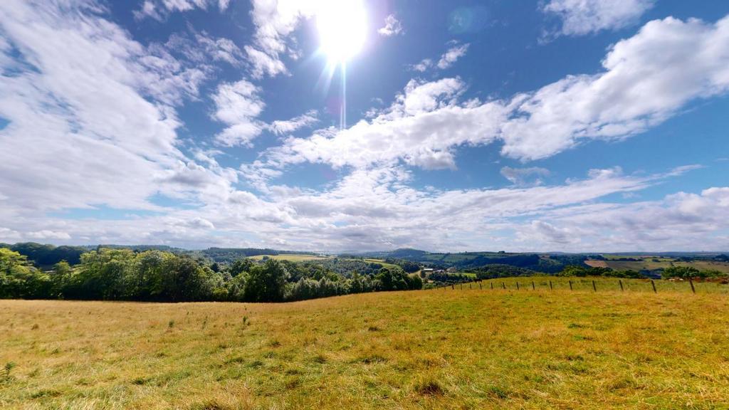 Gladenhill-Braidwood-08122024 161347.jpg