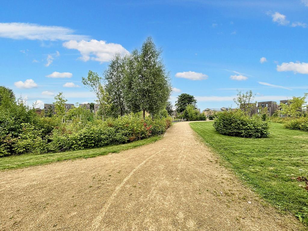 Park within the Development