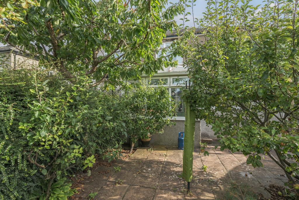 Rear Patio