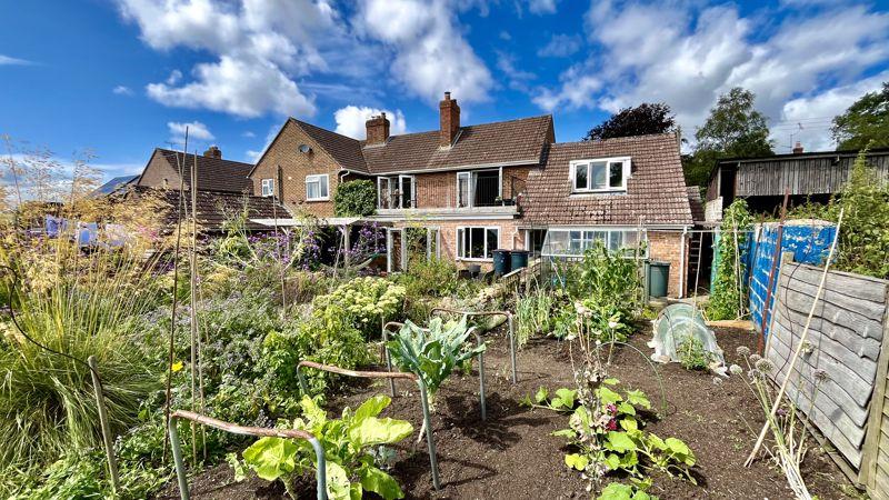 Vegetable Garden